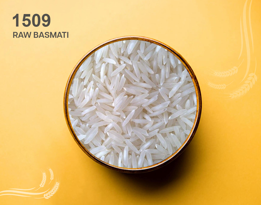 1509 Basmati Rice